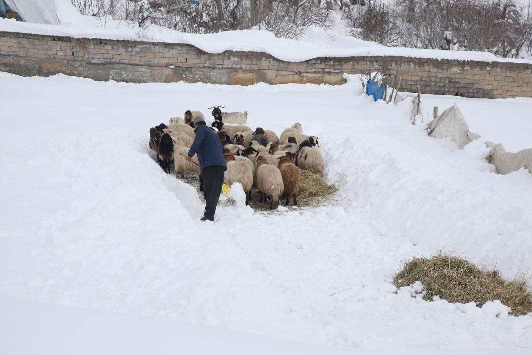 Hakkari ve Yüksekova’da kar 2 metreyi aştı. Tek katlı evler ve ahırlar kara gömüldü 3